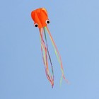 New 4m Purple orange 2 Kites Single Line Octopus Power Sport Kite Outdoor Sports