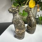 1pc Natural Money Leopard Stone Quartz Carved Leopard Skull Crystal Reiki Decor