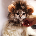 Funny Cute Lion Mane Costume For Small Cat Or Dog Pet Clothes Fancy Dress