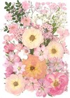14 Types Pink Dried Pressed Flowers For Craft  Leaf Plant Herbarium For Resin   