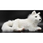 Hansa Arctic Fox 40 Bh6822 Realistic Plush Animals From Japan