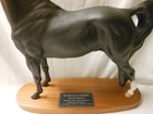 Royal Doulton 2605 Tarryall Maestro Connoisseur Stallion Morgan 1979-1989 11 5 
