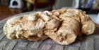 White Crinoid Bed Fossils In Sandstone Matrix