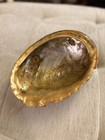 Trophy Red Abalone Shell 8    Giant Mother Of Pearl Smudging Bowl Haliotis