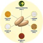 Gat Sport Gat Testrol Gold Es - 60 Tablets
