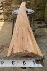 72 5    Eastern Red Cedar Bow Stave  Bow Making Wood  Bow Staves  Juniper Stave