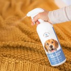 Dog Stain And Odor Remover     Carpet Stain Remover And Pet Odor Eliminator  Sa   