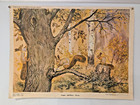 Save Nature Poster     Wild Nature Animals     Rare Soviet Poster Green Party 1984