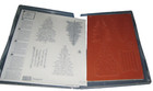 Stampin    Up Evergreen Clear Mount Stamp Set New - Beautiful 