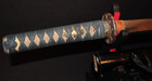 Antique Bonji        Long Wakizashi        Torin Kei Tsuba - Crab Menuki - Edo Period