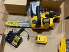 Dewalt 20v Max  Xr Cordless Chainsaw 5-ah Battery   Charger  12 Inch  dccs620p1 
