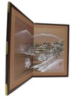 Old Vintage Japanese Chinese 2 Panel Original Painting Folding Screen Signed