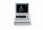 Veterinary Color Ultrasound 15  Portable Laptop Machine 3 5mhz Convex Probe Usa
