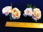 Vintage Millinery Flower 2  Rose 2 Pair True Silk Pale Pink Champagne Kw5 A