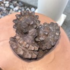 Large Antique 7    Oil   Gas Tri-cone Rock Drill Bit Parts Display