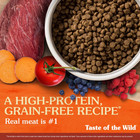 Taste Of The Wild Puppy High Prairie Bison   Venison Dog Food 28lb