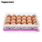      New Tupperware Large Snack-store With 3 Egg Tray Inserts  New 2025 Set 
