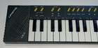 Lonestar Ls-11 Keyboard Synth Patch Lone Star Vintage Piano - Works 