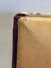  Antique Victorian Celluloid Photo Album 1890s 36 Photos 24 Cabinet 12 Tin Types