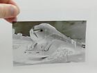 Vintage - Negative - Steam Locomotive - Retro - Railroad -  joseph Stalin  Ussr
