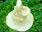 Latex Alligator Mold Plaster Cement Concrete Crocodile Mould  9 h X 5 l X 5 w