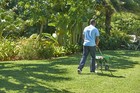 Scotts Southern Turf Builder Lawn Food 28 12 Lbs  Covers 10 000 Sq  Ft 