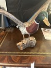 Vintage Hand Carved Wooden Duck Sculpture-hand Painted Mallard Duck