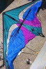 Prism Quantum 2 0 Stunt Kite 