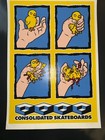 Consolidated Skateboards Vintage Todd Bratrud Poster S n Strangelove Rare Chick