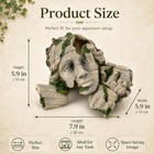 Large Aquarium Reptile Hideout Cave Fish Tank Decorations Ornament Accessory