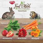 Kaytee Rabbit Healthy Diet Dry Food For Pets Rabbits  Guinea Pigs Small Animals