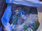 Pack Of 10 Different Beginner Corals  mixed Reef  With Free Shipping