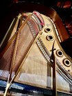 1924 Steinway   Sons Model A3 Stretch A Grand Piano  230964