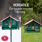 Squirrel Be Gone Ii Home Style Wild Bird Feeder  8 Lb  Green