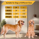 Grestorm Large Dog Door Magnetic For Pets Up To 100 Lb 16 9 X 13 9  Doggie Door