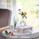 Clear Glass Bud Vase  3pcs set Modern Decorative Small Mini Flowers Vases Short 