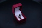 Rare Authentic Ancient Egyptian Antiquities Nefertiti Silver Ring Egyptian Bc