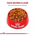 Royal Canin Breed Health Nutrition Boxer Breed Specific Adult Dog Dry Food  30lb