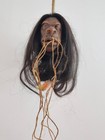 Museum Quality Jivaro Shrunken Head