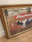 1998 Budweiser Mirror Framed Sign Gsp German Shorthaired Pointer Hunting Dog