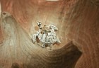 19mm Rose Gold Plated 925 Silver Hawaiian Mother   Baby Turtle Wiggling Pendant