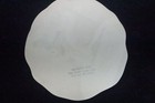 Vintage Sheffield Alabama 1940s Roller Skating Rink Sticker Label Decal Rare
