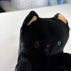 Dan Dee Limited Edition 2025 Cvs Plush Cat Black