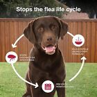 K9 Advantix Ii Flea Tick Treatment - 6 Pack For Extra Large Dogs Over 55 Lbs