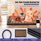 Puppy Incubator With Heating And Oxygenator  Incubator For Puppies  Kitten Incub