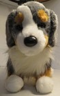 Old Sinclair Australian Shepard Plush Dog Douglas Cuddle Toys 2023 Rare  2019 Gu