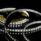 Abi 600 Led Strip Light  5m Super Bright Double Density  Cool White 6000k  3528