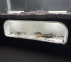Bottom Dweller Underground Tunnel Aquarium Cave Fish Tank Decorations Ornament