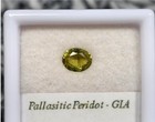 Pallasitic Peridot Gem  43 Cts   Oval Cut  With G i a  Report   ppv43