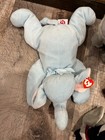 Ty Beanie Buddy Elephants And Beanie Baby Monkey  Walrus  Goose  And Bird